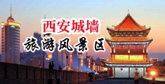 女人抠逼好骚气中国陕西-西安城墙旅游风景区